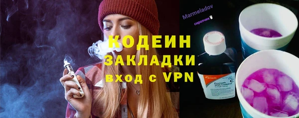 хмурый Алексин