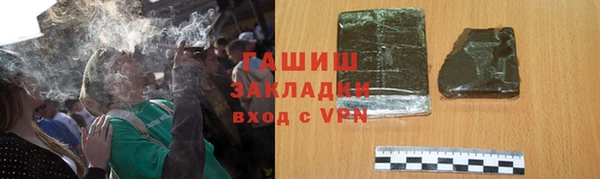 хмурый Алексин