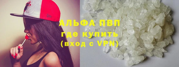 хмурый Алексин