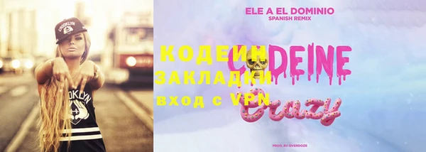 хмурый Алексин