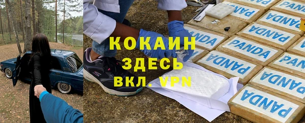 хмурый Алексин