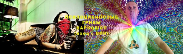 jwh Алзамай