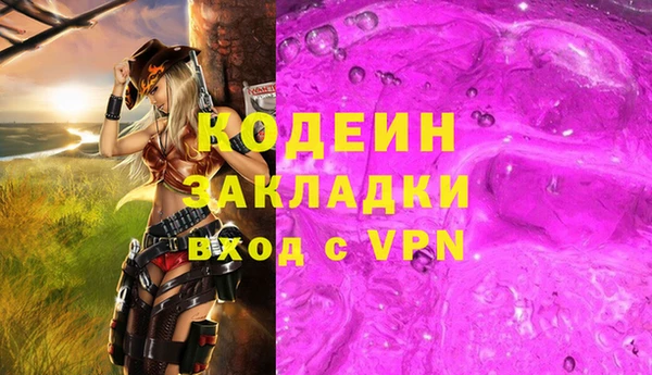 хмурый Алексин