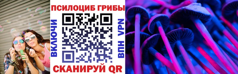 Галлюциногенные грибы Cubensis  наркотики  Зеленоградск 